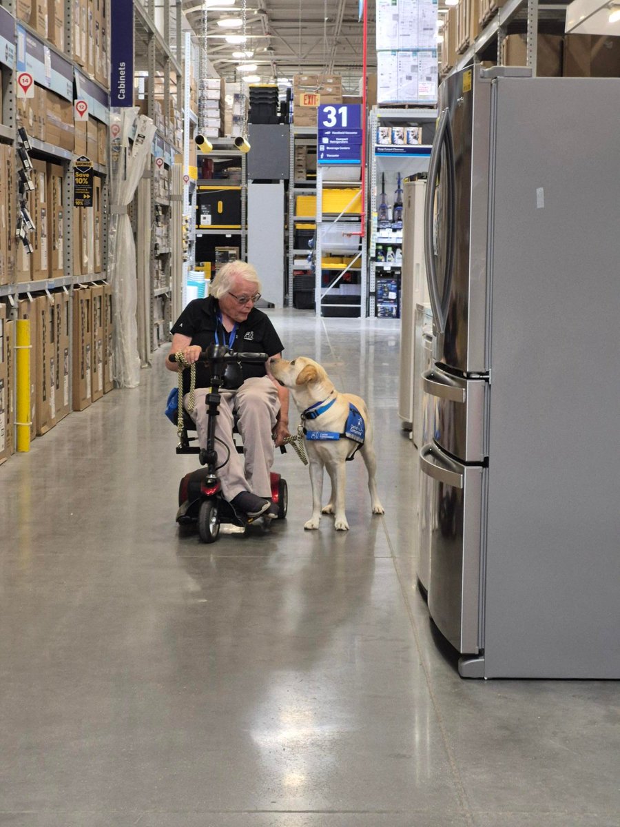 A person using a mobility scooter navigates through a store aisle accompanied by a service dog wearing a blue vest. The aisle is lined with large appliances and boxed goods.