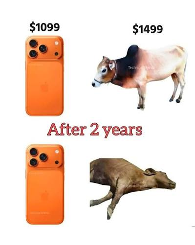 thejufo's tweet photo. @Laith_ziod @MKBHD https://t.co/BgEbDFe0K0