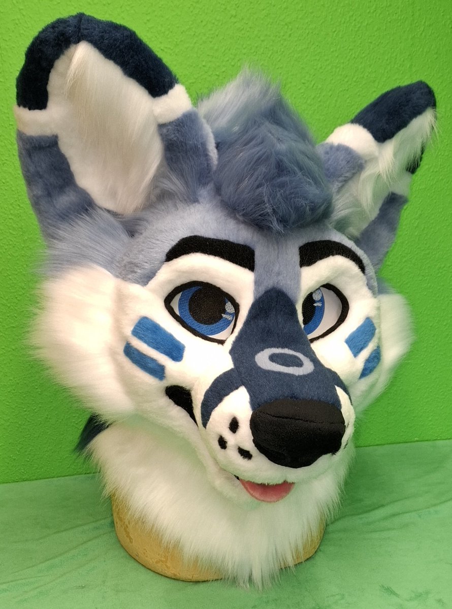 TheKarelia's tweet photo. And here we have fursuit head number 250! His name is Techied and the rest of the fullsuit will be finished this week 😄
https://t.co/5xyyRtLIwz
#fursuitmaker #fursuit #furry https://t.co/QWeQOgkRTo