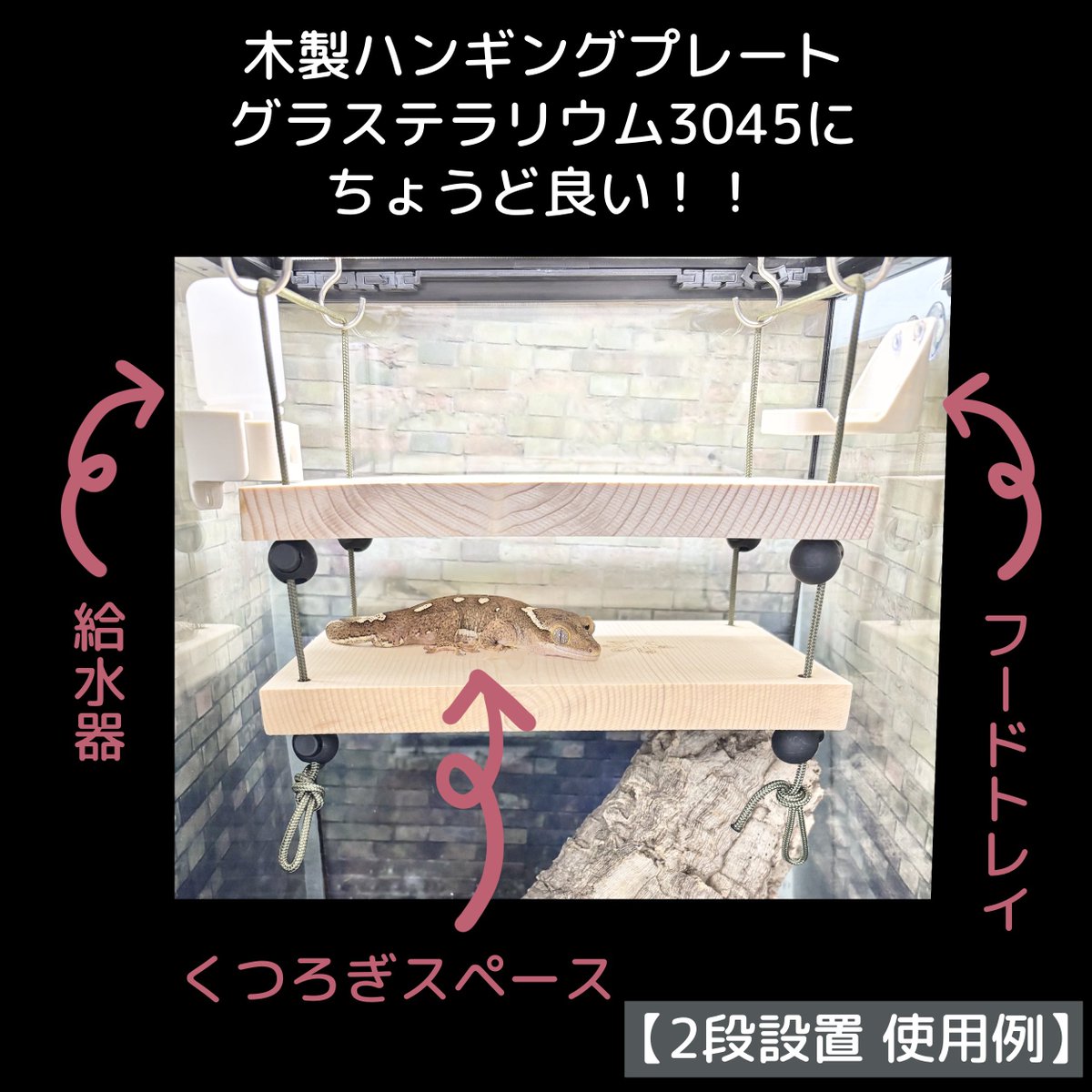 lamellam2025's tweet photo. \\ゲコマ販売商品//

まるで空中ベッド！？
中型以上の樹上棲ヤモリに最適！
木製ハンギングプレート✨🦎

ゲコマ限定特別価格でご用意しました。

2段セット通常価格4,700円→2,900
是非この機会お見逃しなく！！ https://t.co/7CwXv6ELbA