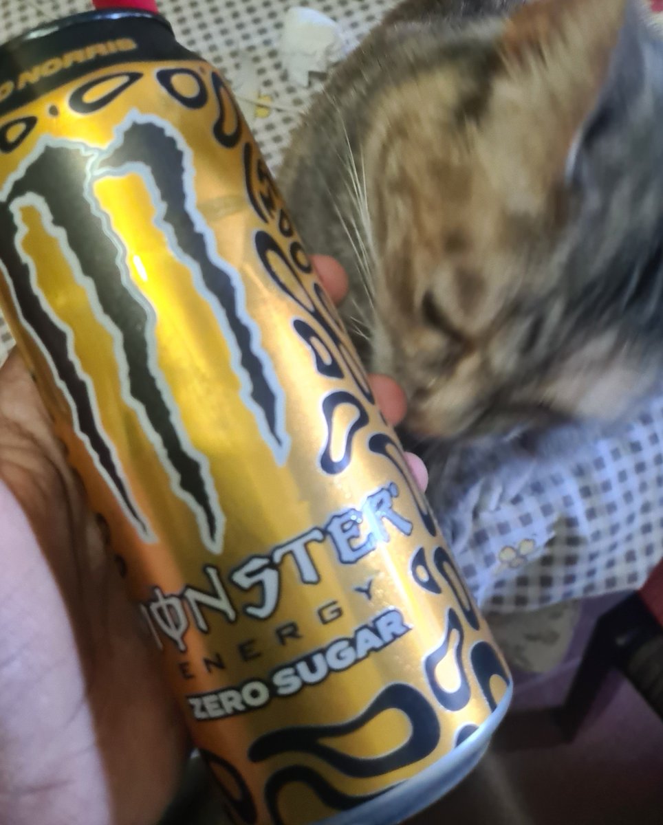 ribsnall's tweet photo. bought norris's monster while on my walk https://t.co/TcykGQhHlM