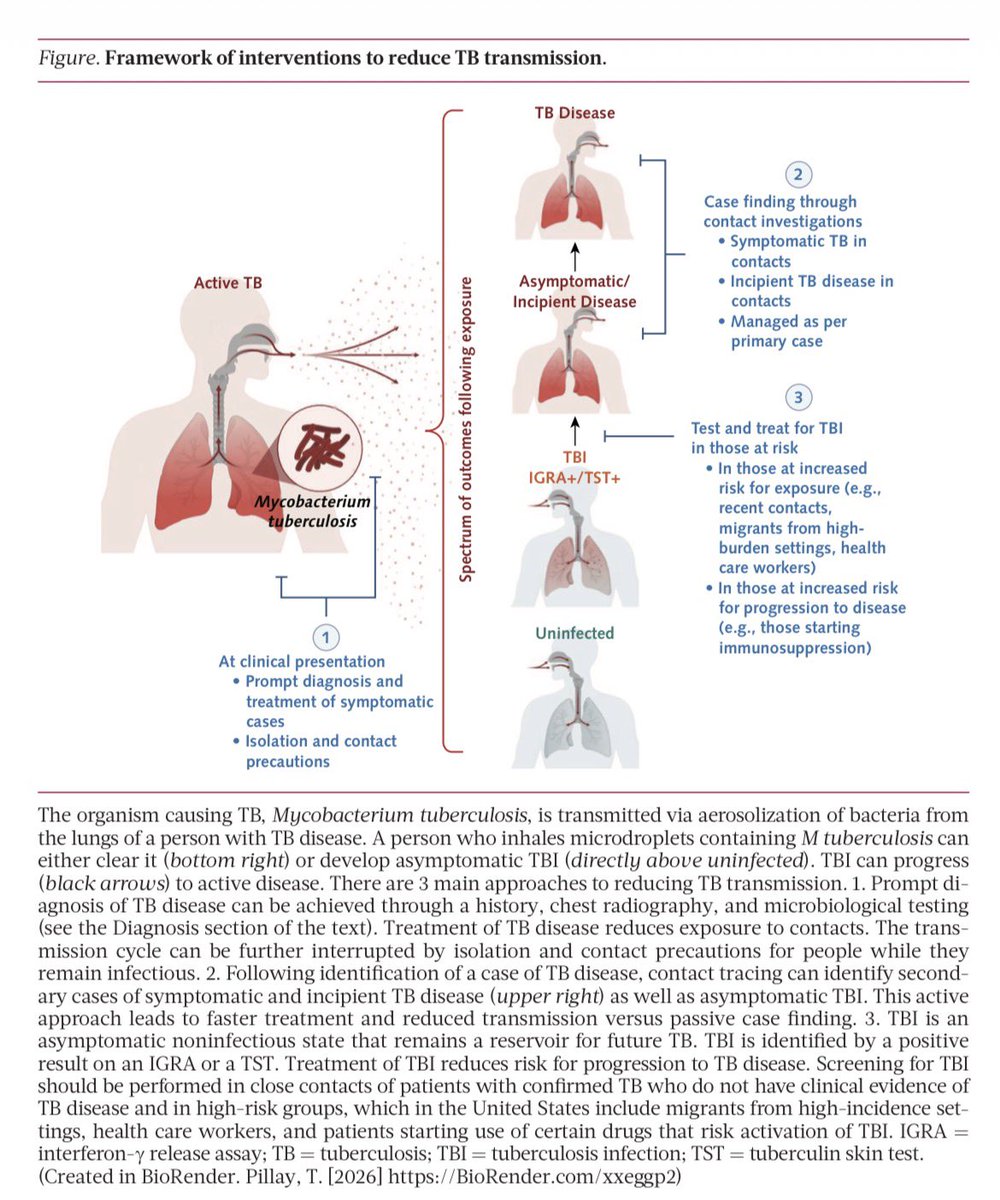 AliSMV7's tweet photo. 🔺Tuberculosis (In the clinic 2026)

https://t.co/3BkJidsUaB https://t.co/KOmaB14QGq
