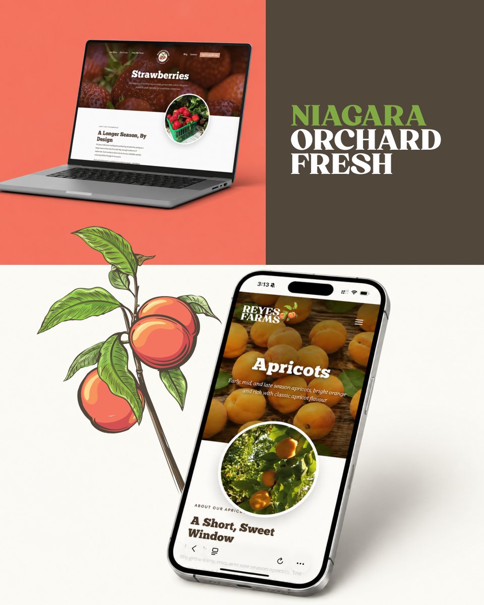 spcan's tweet photo. Logo. Palette. Website. One story, built together.

#BrandDesign #VisualIdentity #CreativeProcess #Logo #DesignFirm #Branding #LogoDesign https://t.co/9LUeHZi5UX