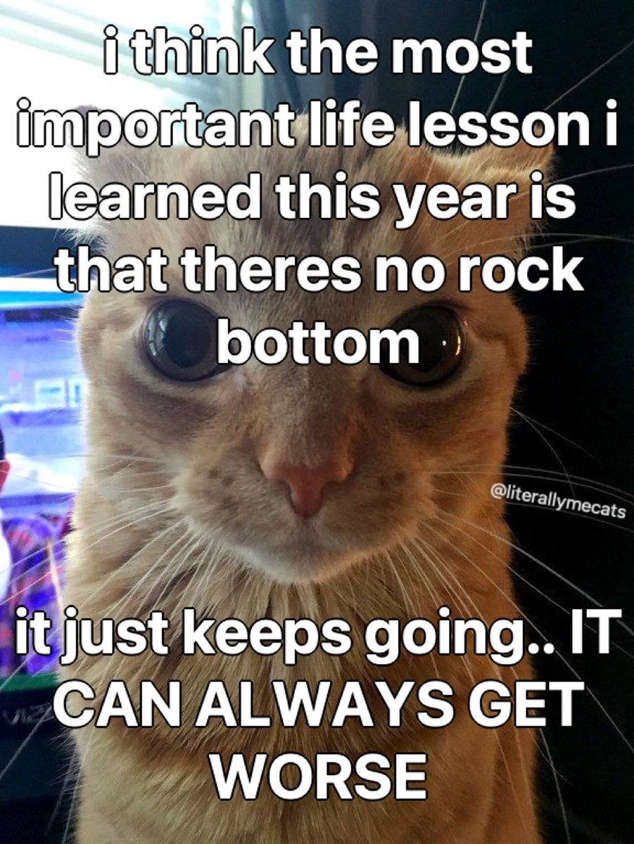 literallymecats's tweet photo. https://t.co/nBhWGVSxSO