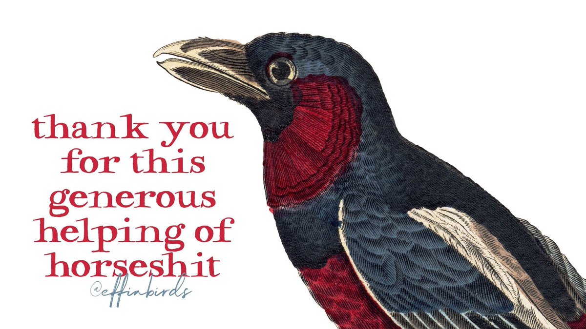 EffinBirds tweet picture