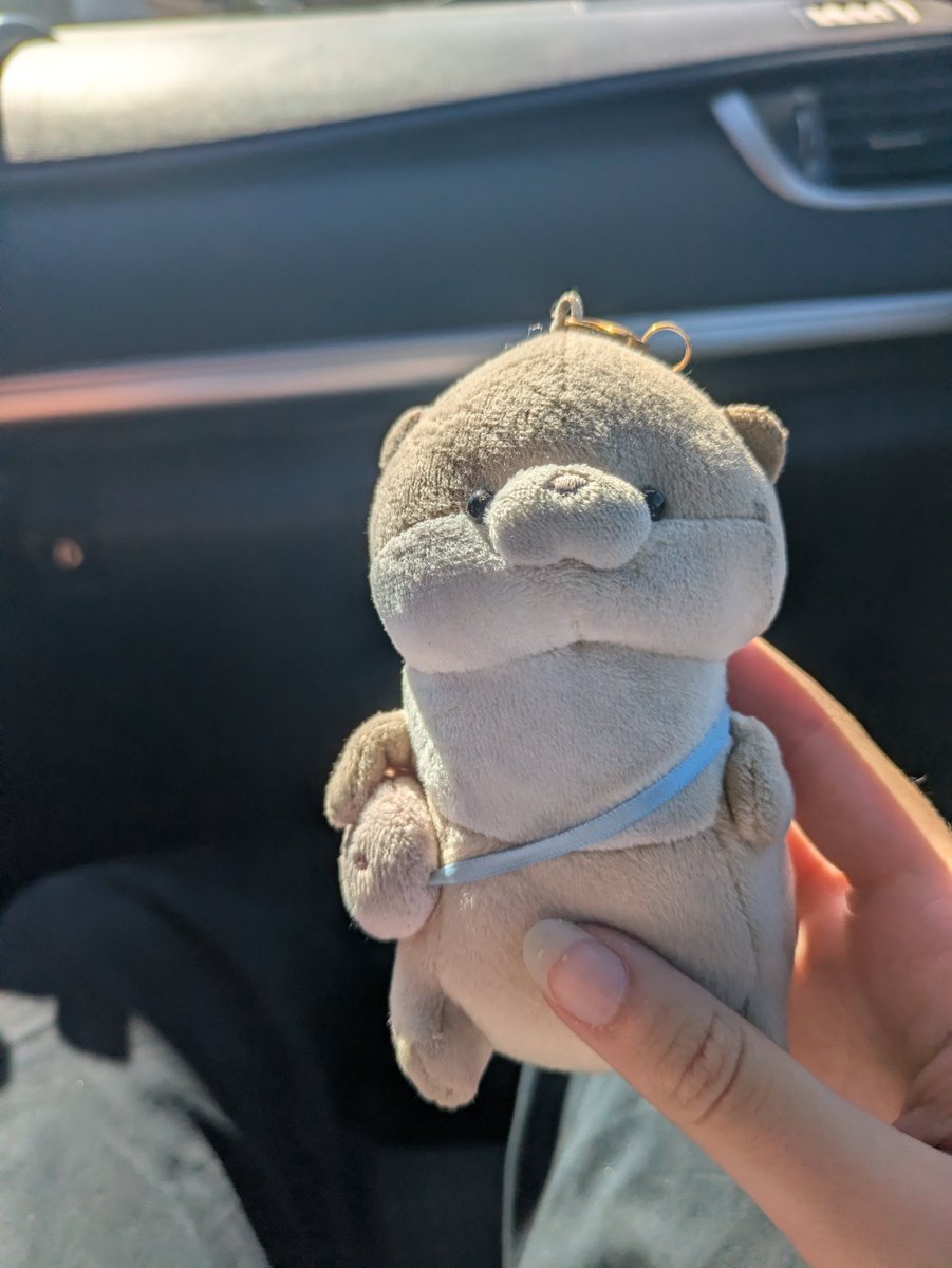Kokariidex's tweet photo. Aww look at this cutie I found at school (⁠*⁠´⁠ω⁠｀⁠*⁠) https://t.co/KbCWsRFueN