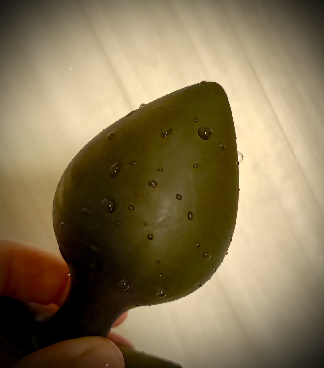 buttpluglov's tweet photo. 昨晩帰宅後、夜10時頃から拡張トレーニングをしました。3日ぶり。8cmが徐々に出たり入ったりできてきました。今朝は、朝からムラムラが続いてて我慢できません。ただもう拡張トレーニングをする時間がないです。5cmプラグ入れて過ごします。 https://t.co/rWFcVVxNph