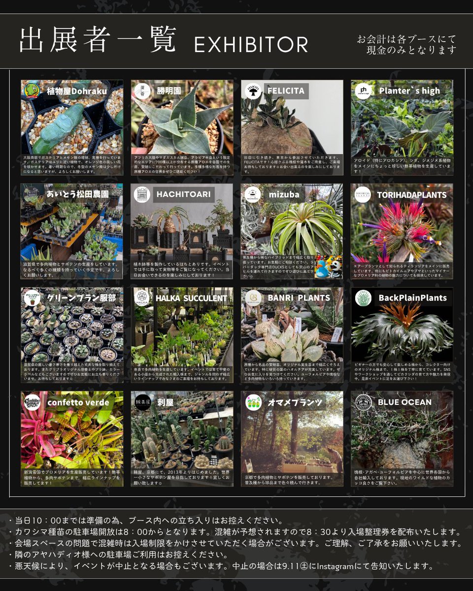 omame_plants's tweet photo. Astroloba foliolosa

E,Cape Provの真ん中あたりに自生している
小型の塔です

この見た目で成長やや遅めという嬉しみ

今週末のカワシマ種苗プランツフェスタIIには
アストロロバも何種か積んで行きます

#オマメプランツ #多肉植物 #京都 #多肉植物販売 #サボテン https://t.co/qtkhGeIGLL