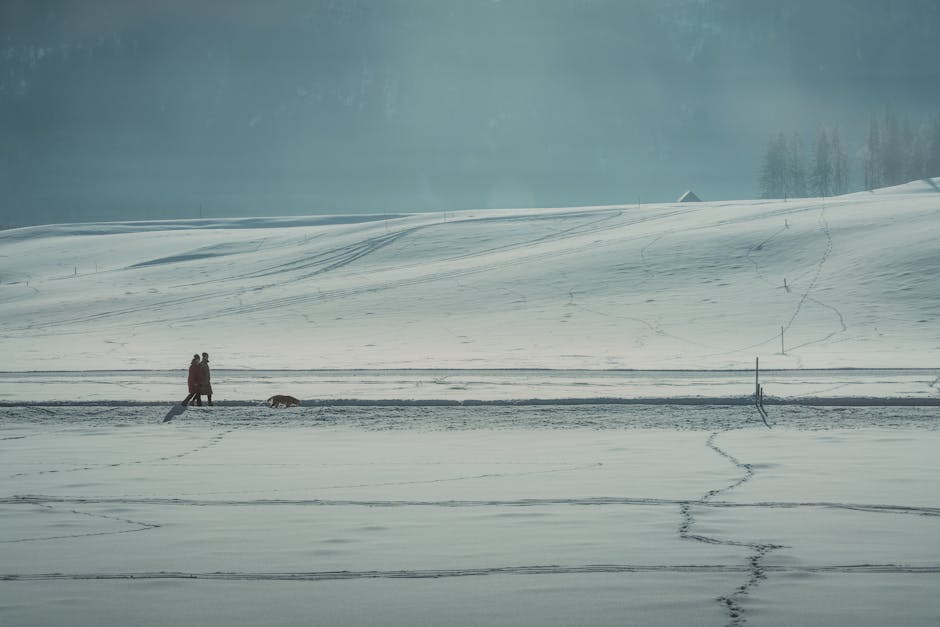 JayRoopebv's tweet photo. تصير لما الوفاء يحافظ على تحت ضوء القمر. الحياة أجمل الثقة mendy burwick🐰 https://t.co/KH2BvbUtxN