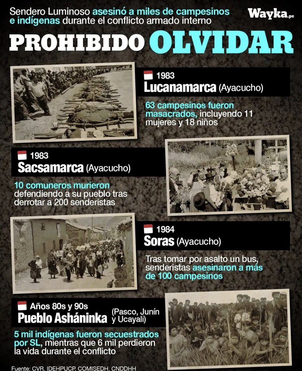 th0ush4ltn0td13's tweet photo. Because Shining Path along MRTA comitted CRIMES against civilians (indigeanous communities, lgbt groups,women), they bombed streets. Shining Path shot an afroperuvian feminist and community organizer, Maria Elena Moyano, just for speaking against them. https://t.co/9VFsCa3zQD