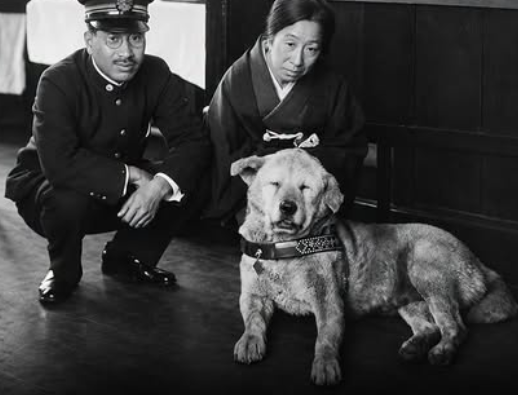 Global_Folder's tweet photo. This is Hachikō, one of the most faithful dogs there has ever been.

Each day he would meet his owner, Professor Hidesaburō Ueno, at Shibuya Station in Tokyo.

Then, in 1925, Ueno died suddenly at work.

Hachikō never grasped that he would not return.

So he went back to the station.

Day after day. Year after year.

For almost ten years he waited at Shibuya for the man he loved, until he himself died in 1935.

His devotion became so well known that Japan put up a statue of him outside the station. It is still there.

Millions have walked past it since.

Hachikō never stopped waiting.