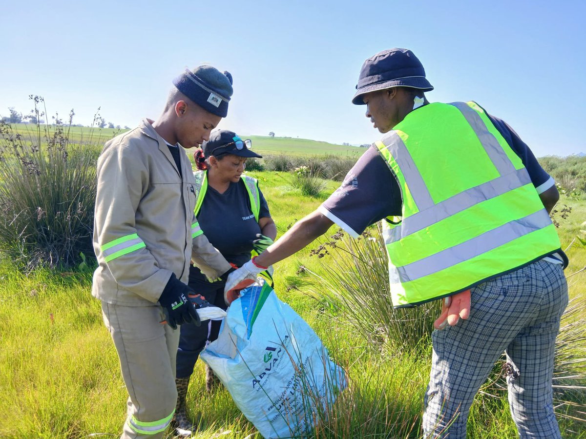 MosselbankTeam's tweet photo. 🌱 NextGen – Week One!
The team got hands-on with alien vegetation clearing, stormwater channels, litter clean-ups and seed collection — while learning about local wildlife along the way!
A great week of learning, teamwork & action! 💚
#NextGen #MRCT #Conservation https://t.co/qKjwZgw5qp
