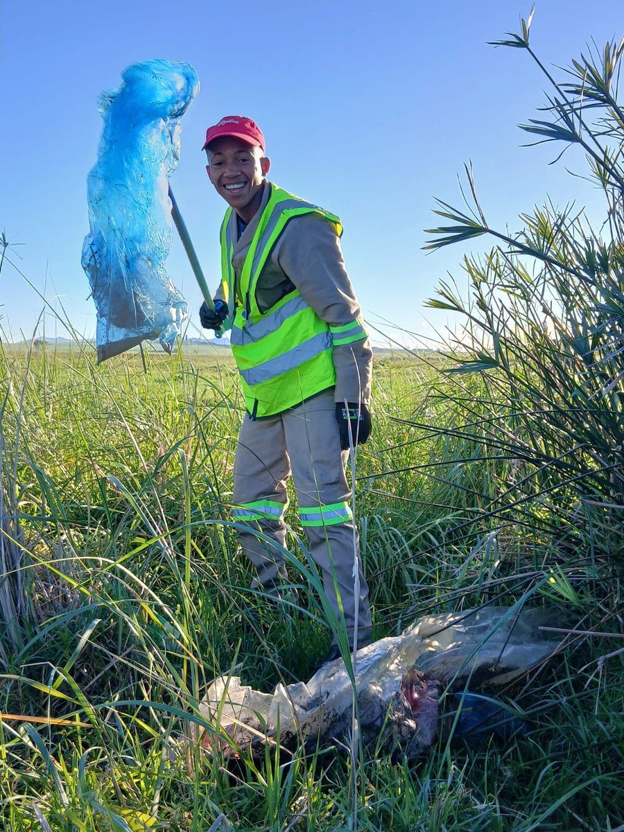 MosselbankTeam's tweet photo. 🌱 NextGen – Week One!
The team got hands-on with alien vegetation clearing, stormwater channels, litter clean-ups and seed collection — while learning about local wildlife along the way!
A great week of learning, teamwork & action! 💚
#NextGen #MRCT #Conservation https://t.co/qKjwZgw5qp