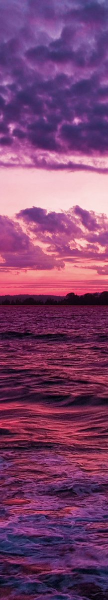 gardenofcolours's tweet photo. https://t.co/F9JBXaL521
