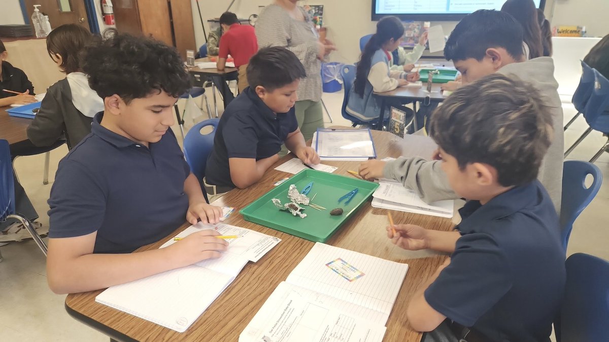 villarealhawks1's tweet photo. Learning all about owls through hands-on exploration! 🦉🔬 Our students had a great time dissecting owl pellets and discovering what owls eat. Science comes to life when we learn by doing! 💙🤍 https://t.co/jurPC9naFr