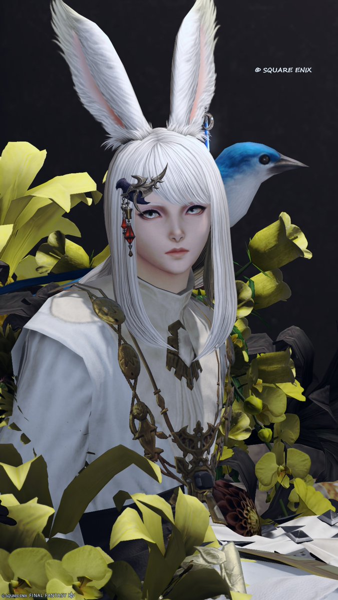 dg_ucl's tweet photo. 𝐺𝑜𝑜𝑑 𝑚𝑜𝑟𝑛𝑖𝑛𝑔︎🌹
#ayst
#FF14 #おはウサ https://t.co/oPBSJDJxnD
