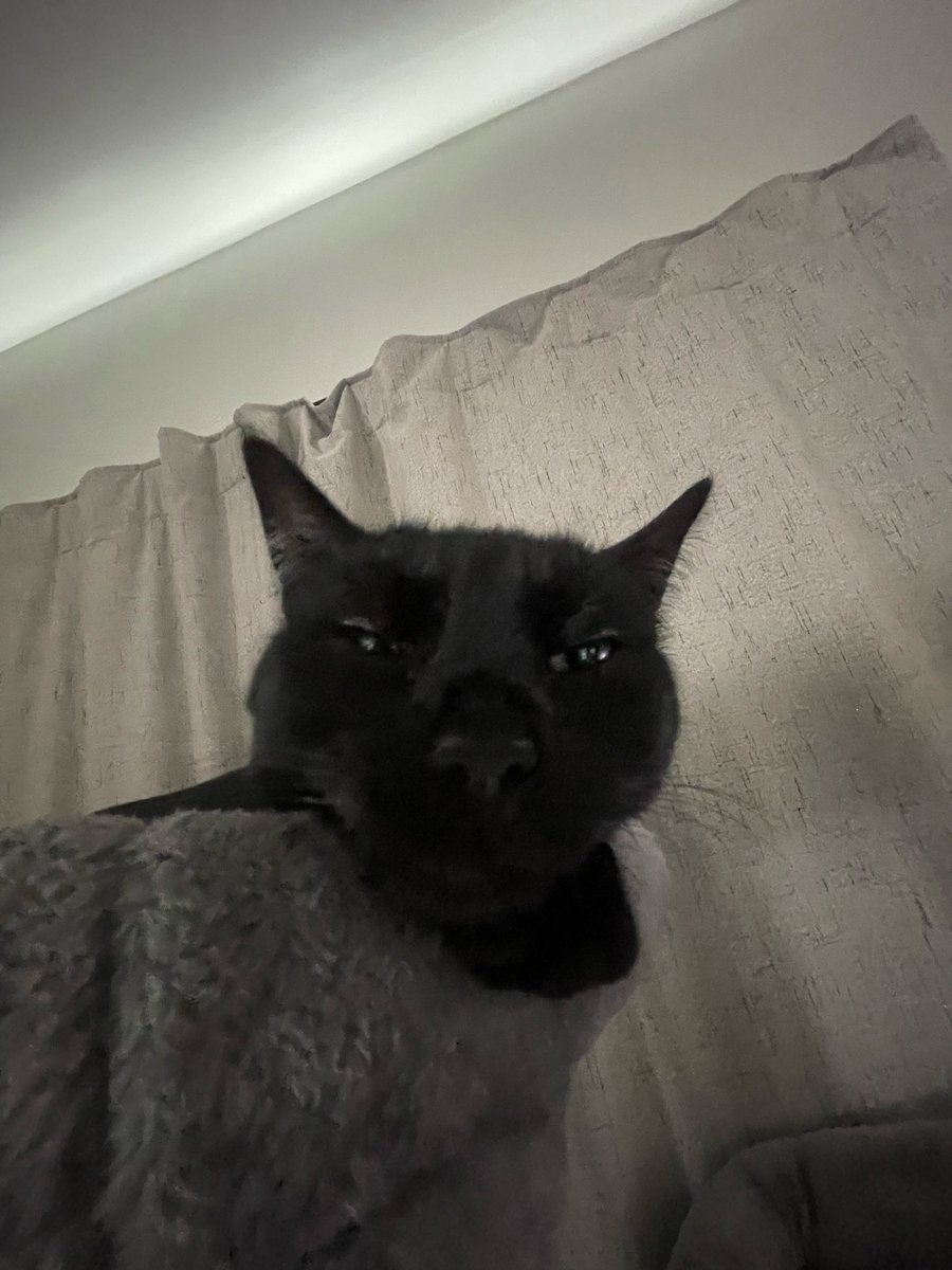 Navi_Pepper's tweet photo. mommm get outta my faceee https://t.co/iBsJpEuksD
