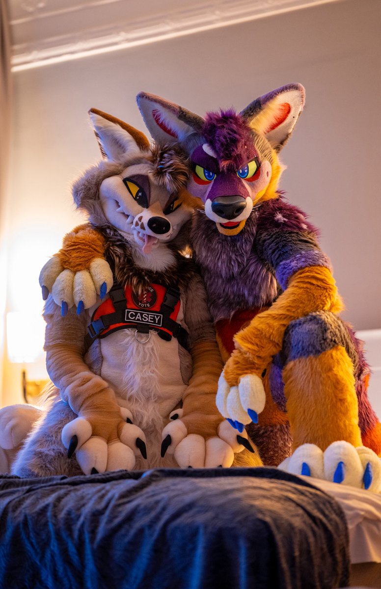 StellarAntares's tweet photo. There’s room for a third, you know.

🔺: @ctahrpoe 
📸: @comet_coyote https://t.co/o6hD2zZam0