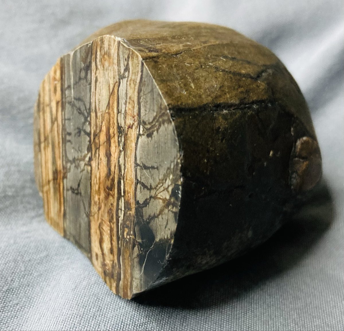 CNRocksCrafts's tweet photo. “Forest Within” is a beautiful piece of petrified wood I obtained earlier this summer. It’s a Stage 2 Story Cut (fully polished on one face). I see white trees / dark background. Some see dark trees / light background? What do YOU see? #CNRocksCrafts #rocklife #rocks 😍🪨🐦⬛ https://t.co/WjAEBSvY8d