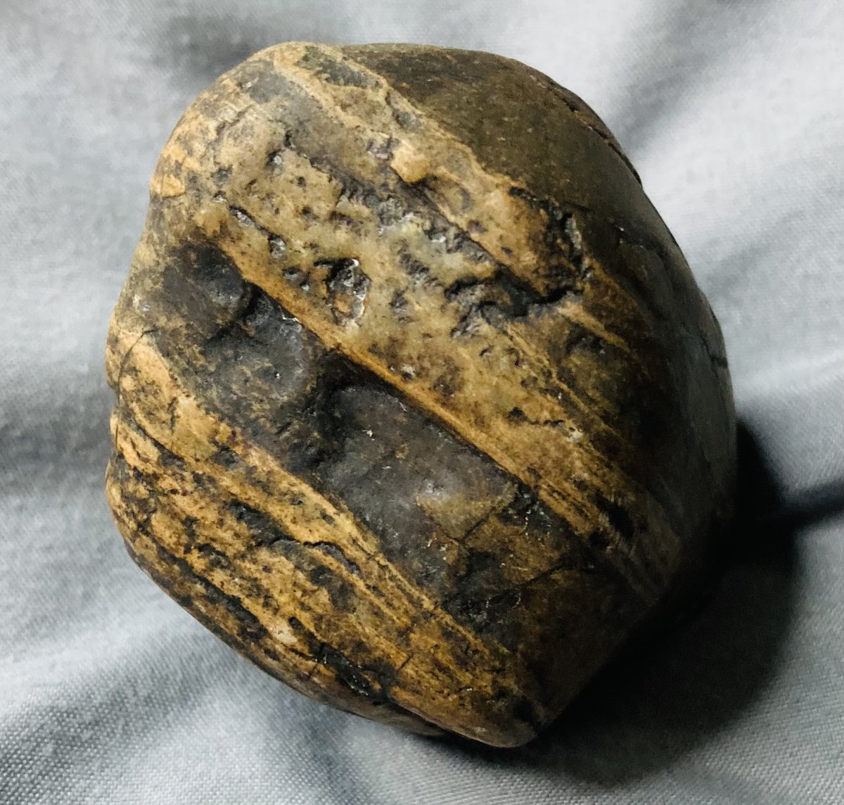 CNRocksCrafts's tweet photo. “Forest Within” is a beautiful piece of petrified wood I obtained earlier this summer. It’s a Stage 2 Story Cut (fully polished on one face). I see white trees / dark background. Some see dark trees / light background? What do YOU see? #CNRocksCrafts #rocklife #rocks 😍🪨🐦⬛ https://t.co/WjAEBSvY8d
