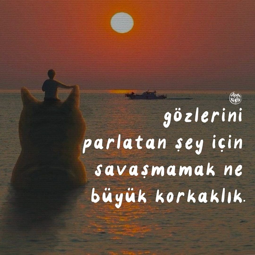 bitemezdik's tweet photo. https://t.co/ymYu2RXkaz