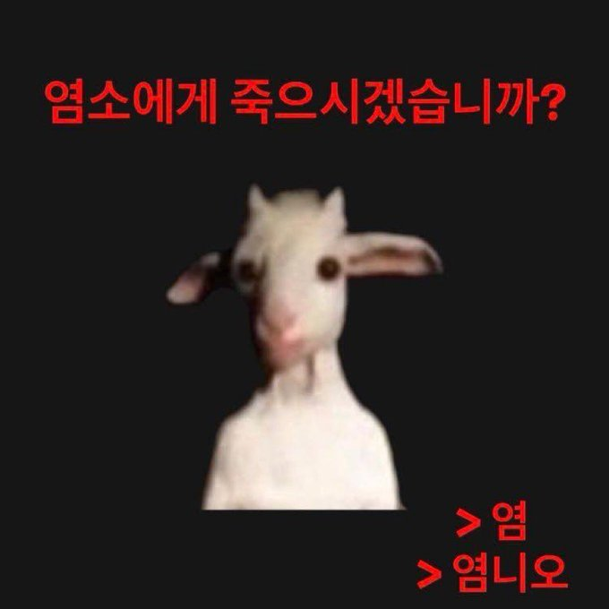 mo_bur1's tweet photo. https://t.co/JCjIemdOAo