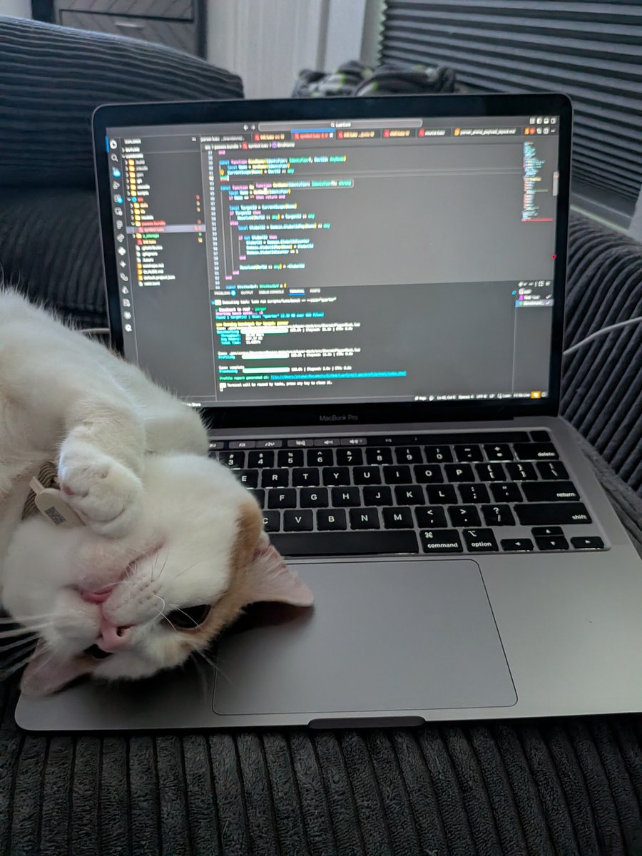 intykat's tweet photo. She's larping so hard she think she a programmer https://t.co/xso4vSfUwk