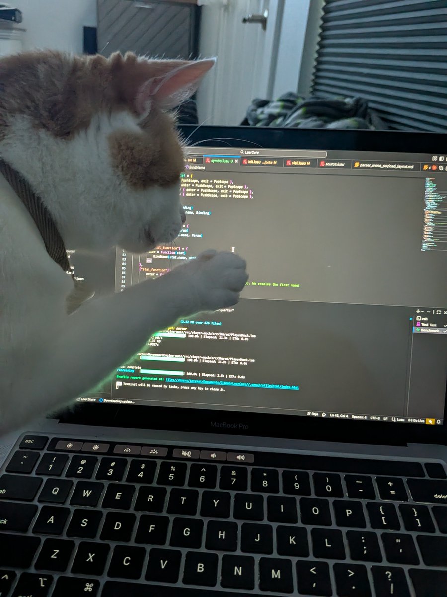 intykat's tweet photo. She's larping so hard she think she a programmer https://t.co/xso4vSfUwk