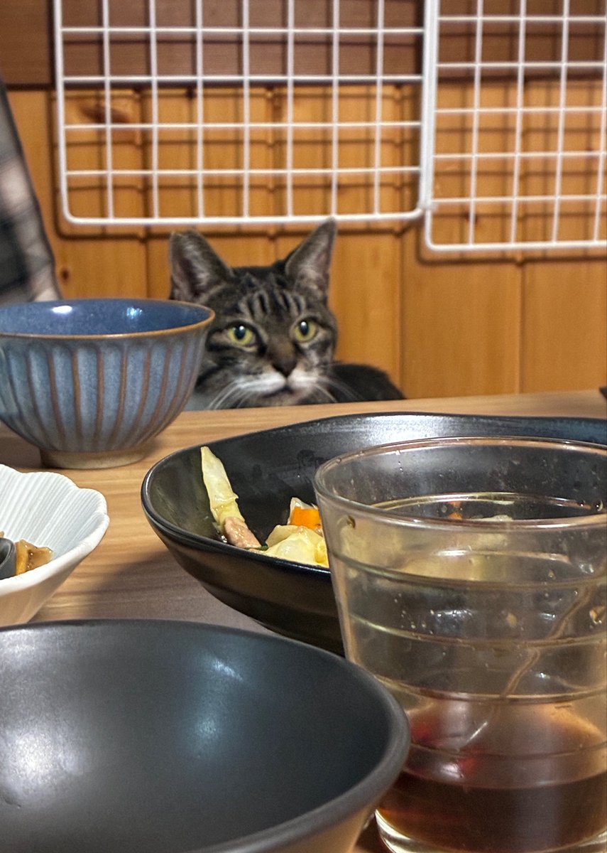 _kkkeeennn_'s tweet photo. ＼おはようございます♫／ https://t.co/rdqbvzyuLW