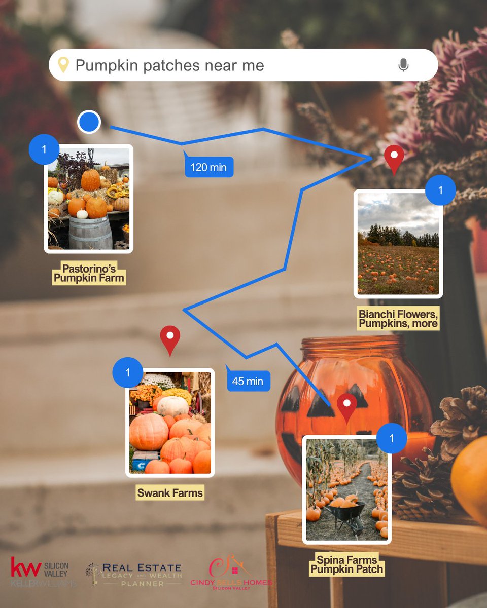 CSelleos's tweet photo. It’s officially pumpkin patch season in the South Bay! 🍂🎃 This particular patch is absolutely perfect for younger children, with adorable photo ops and plenty of space for small explorers. Gather your family and enjoy the beautiful fall weather. https://t.co/G66VoeghlV