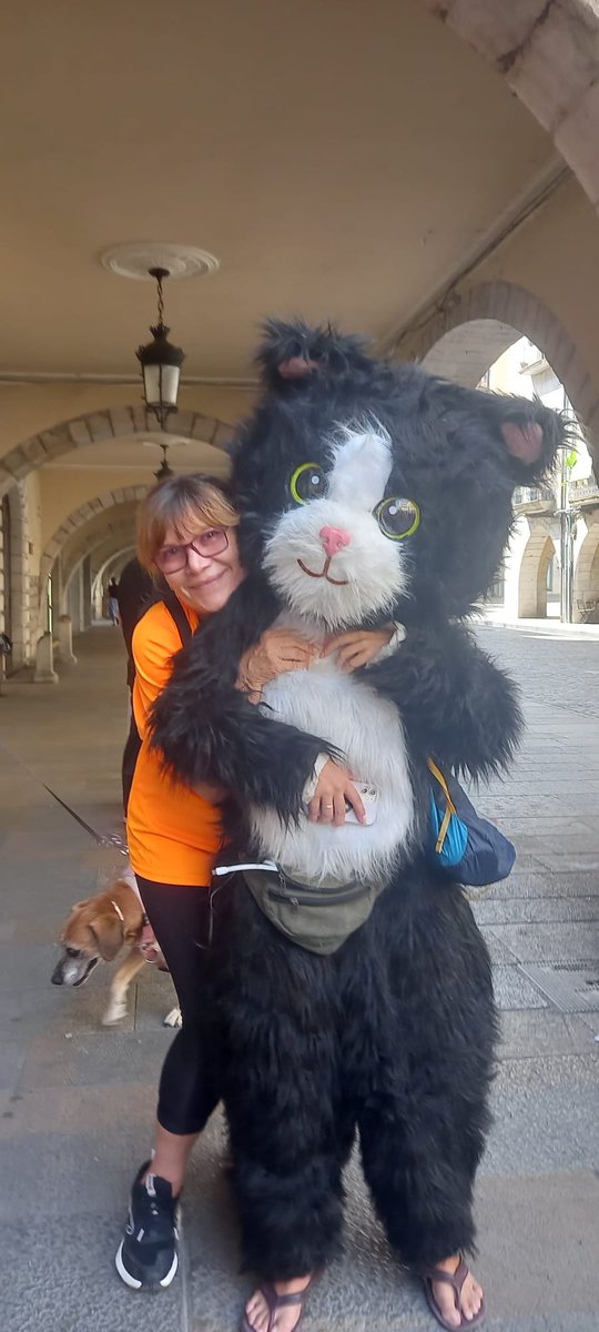 GatCeloni's tweet photo. Gatceloni i greta lluita pels gats de SANT CELONI ❤️
https://t.co/3JwACbmGMc https://t.co/pjzfJfFvYI