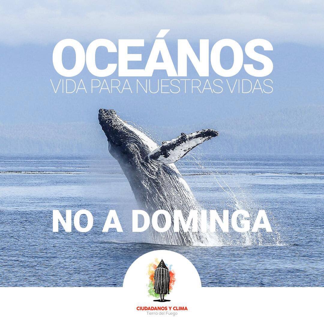 Academica2021's tweet photo. Alerta Cuarta Región
Minera Dominga al acecho apoyada por Kast
#NoADominga https://t.co/CCQxA9qXqd