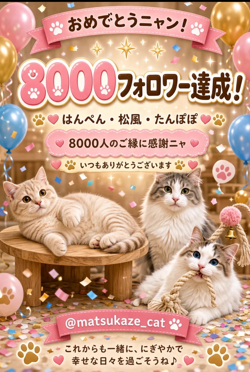 狸猫さま　専用ページ 猫の松風と、はんぺん兄さんに、たんぽぽ参入！ on X: 
