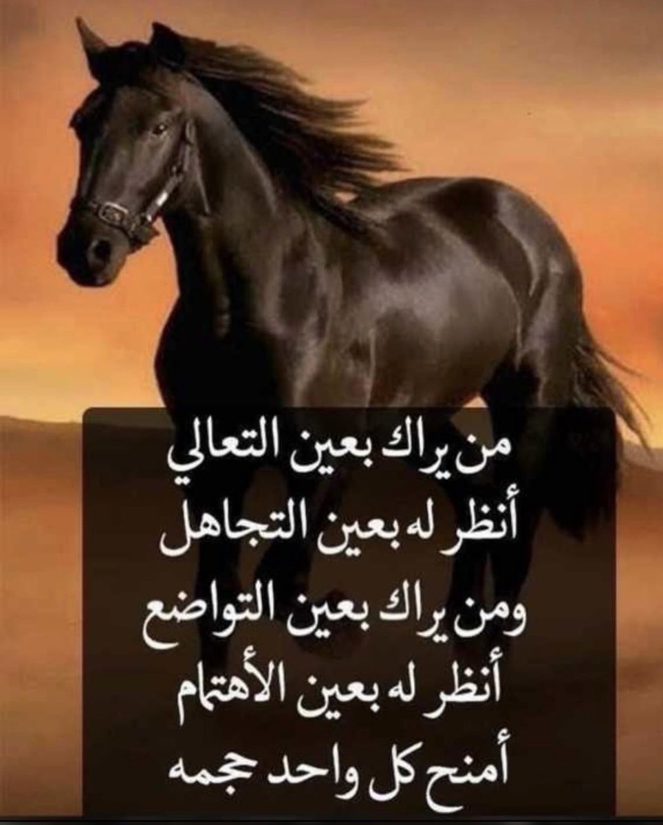 zayed1953's tweet photo. https://t.co/UfczLjpGIt