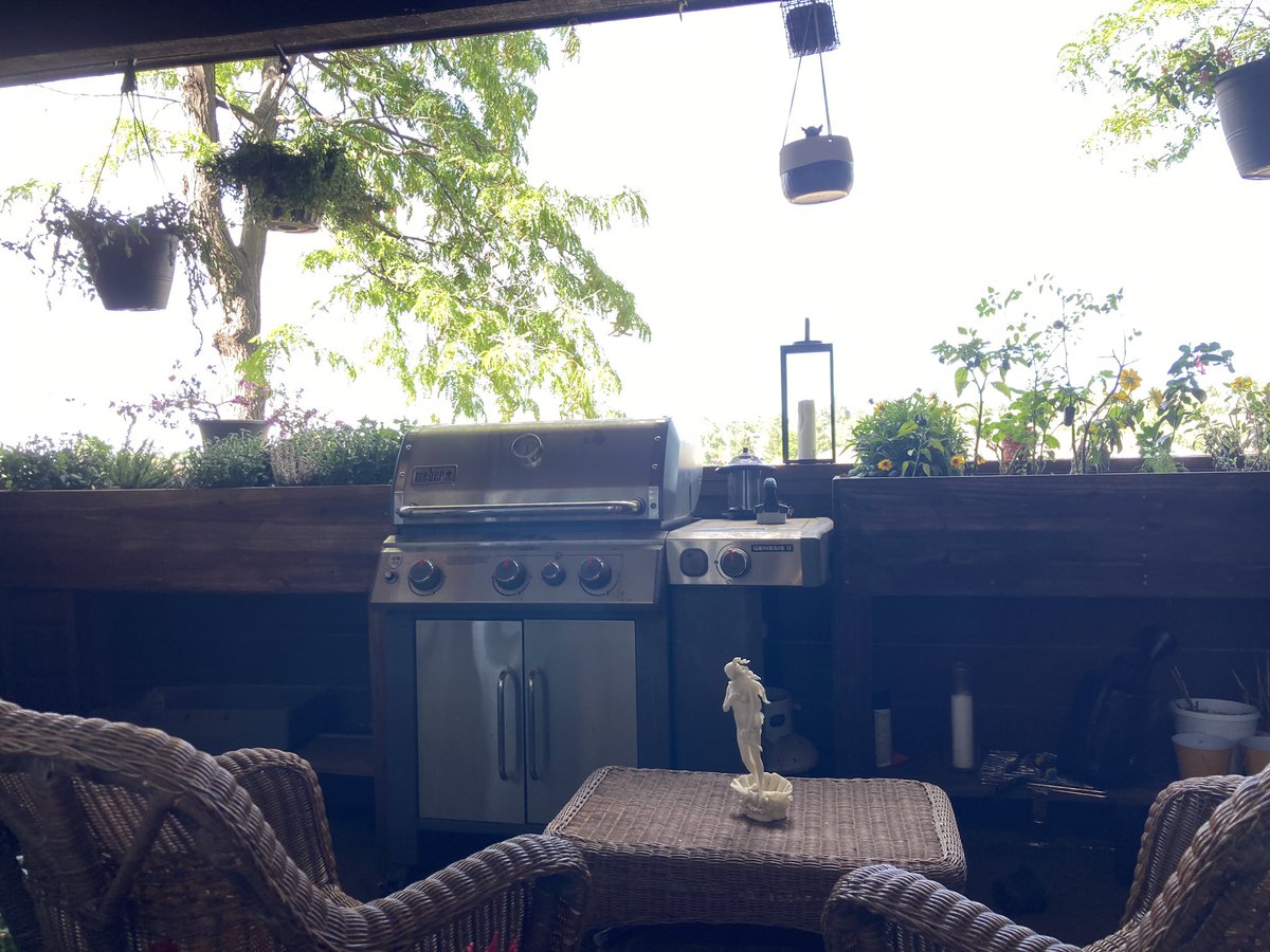 clockypaws's tweet photo. Finished my patio https://t.co/zGIUrMfhml