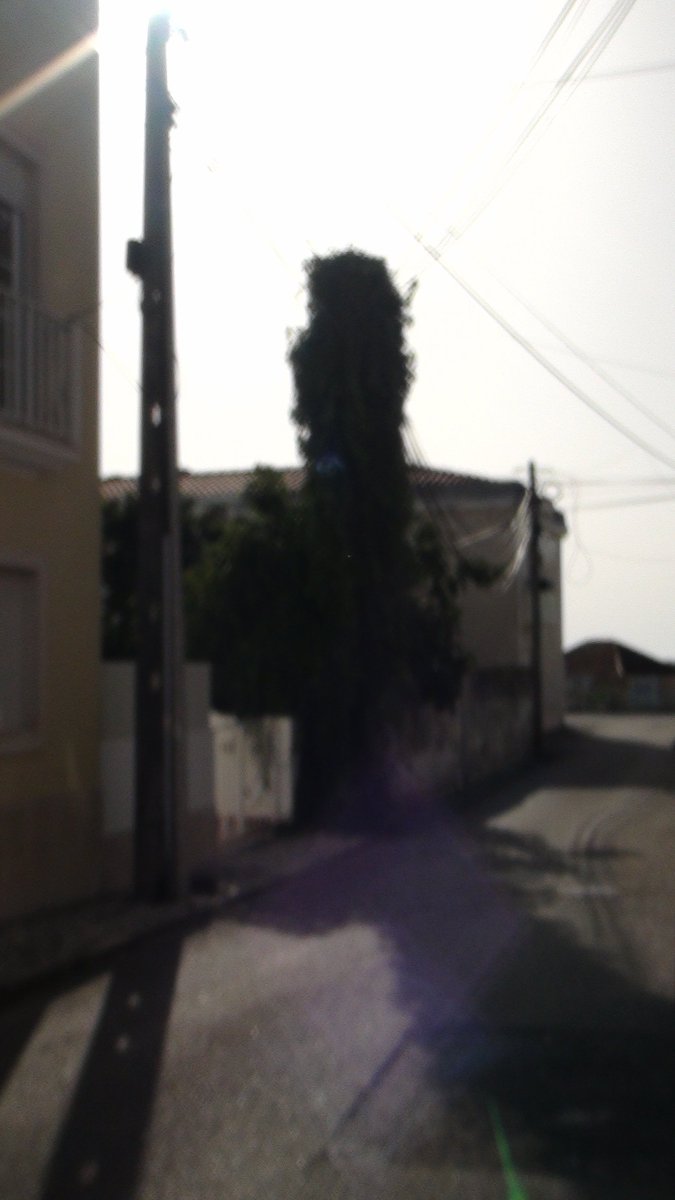 Gabuusgf's tweet photo. Eu amo com todas as minhas forças a atmosfera suave e calorenta do verão, não importa o suor, o brilho do sol e as cores vivas compensam tudo https://t.co/zhwThn2f9J
