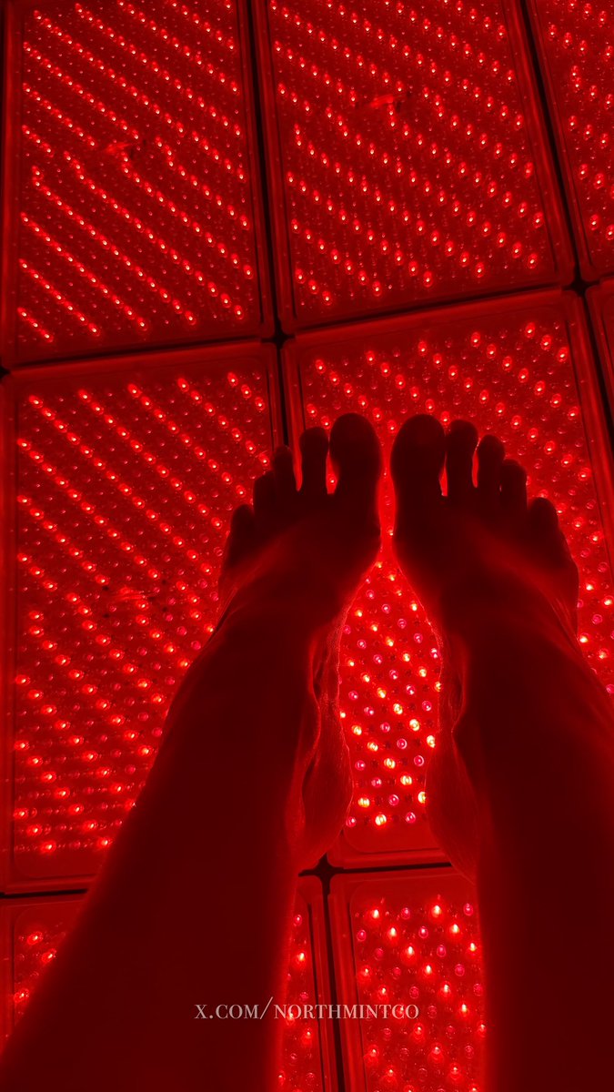 NorthMintCo's tweet photo. Royal treatment for royal feet 👑 Anyone else into biohacking, or is it just me? ♥️ https://t.co/nCUyCwrLlU