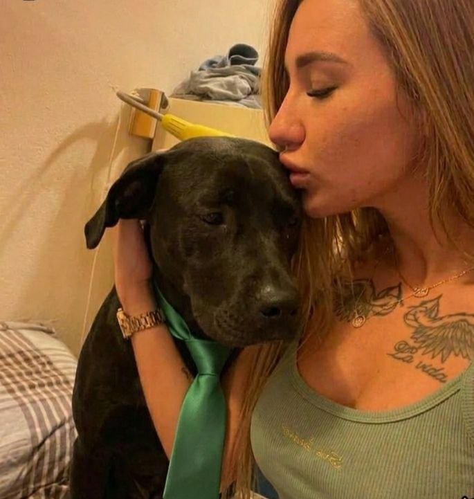 Amarawfih's tweet photo. 🐾HMU on telegram & watch me get nailed by my dog🐶🍆
https://t.co/UjlFQwrGHl
#zoo #nsfw #knotty #r34 #hentai #furry #furryhentai #knotted #beast #slut #cock #hoe #whore #cumwhore #horsed #beastiality #rape #hot #horny #sendmeanything #analfuck #bigtits #ass #porn #deepthroat https://t.co/q38vtkZGZY