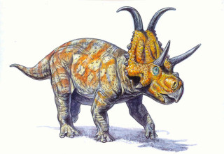 Steffosaurus_VT's tweet photo. @Cozisaur triceratops is cool but im a big fan of the styracaceous and diabloceratops https://t.co/vS3uaUlTVc