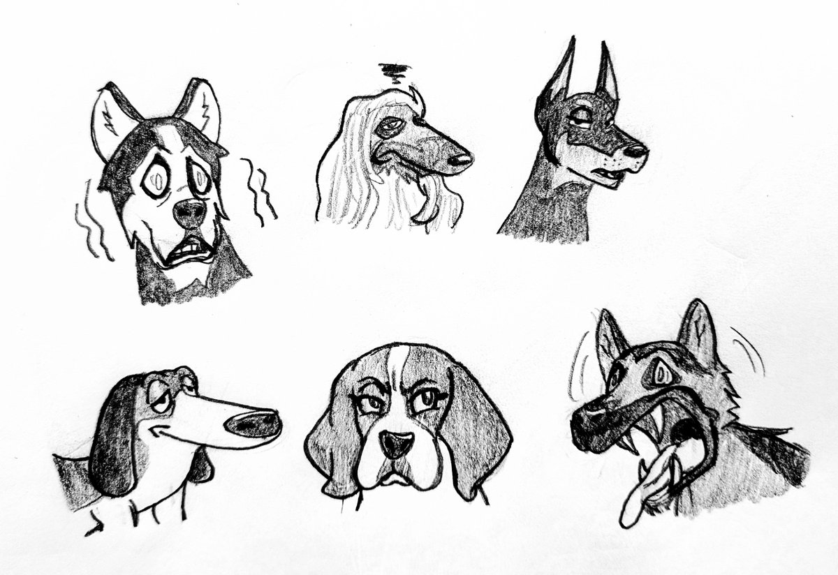 MiscMischief_48's tweet photo. dog practice https://t.co/lx5GKTJpVp