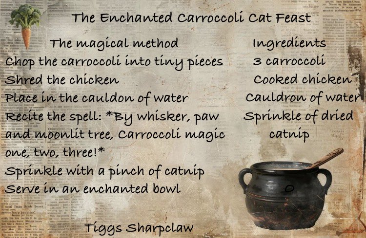 TiggsBlack1's tweet photo. Here is my Herbology homework. I have grown carroccoli. I have made a magical meal fit for a whiskered wizard! #MWHomework #Mogwarts #Sharpclaw https://t.co/XHHXPXrfAO