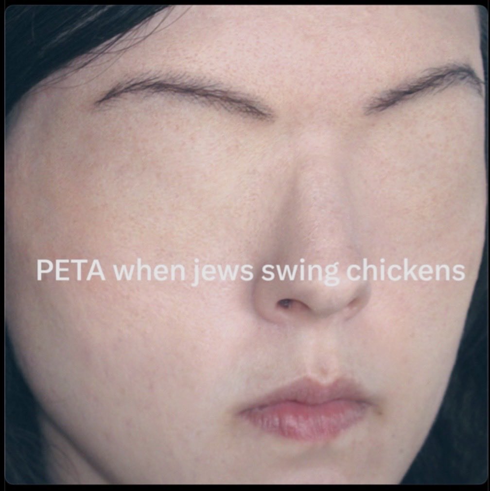 goddek's tweet photo. Hey @peta. Why the sudden silence? https://t.co/UCYlpJxDus