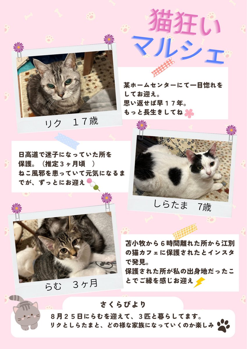 a_miya0203's tweet photo. 『猫狂いマルシェ』を
9月26日（土）に苫小牧市 ここトマ 
で開催します！
10時から16時まで！
入場特典(数量限定)ありますので来てね〜
我が家のにゃんこ紹介してます🐱
(※)ねこちゃんは来てません https://t.co/igtvf4GPxo
