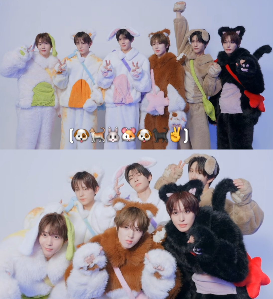 rikujjang's tweet photo. i love my fur babies 😣 https://t.co/6gX9gyQrqb