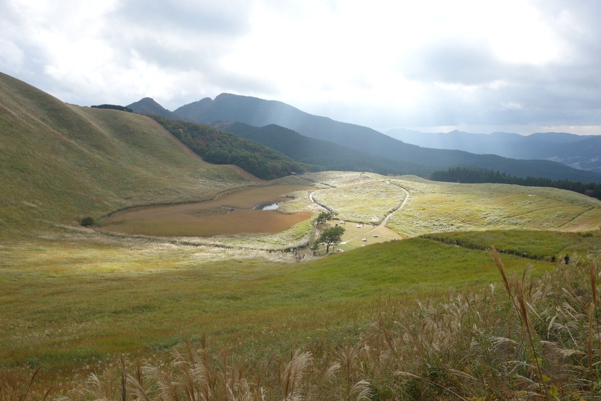 aoneko_'s tweet photo. （前のポストの続き）
せっかくなので昔に撮った曽爾高原の写真など
良い所ですよ https://t.co/IxkfePI2rK