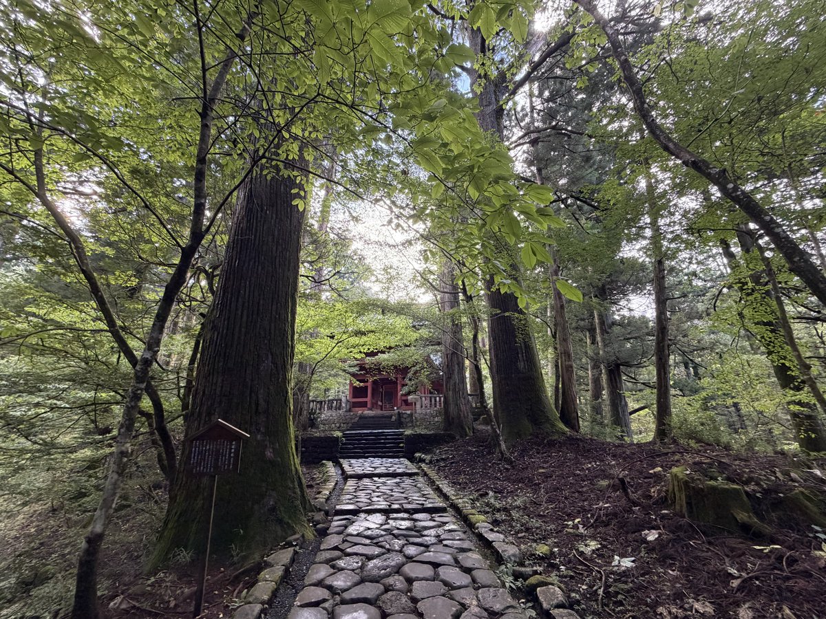 nis_seo's tweet photo. 順番めちゃくちゃだけど最初東照宮と二荒山神社。その後いろは坂から湖に行き、戻りつつの瀧尾神社は初だったけど誰もいないし物凄い雰囲気が良かった。 https://t.co/PmM3NJFLOe