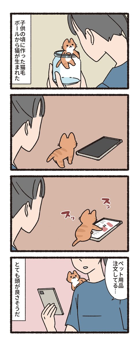 pandania0's tweet photo. 毛玉からうまれた小さな猫（1/3） https://t.co/lpLQYAlvCG