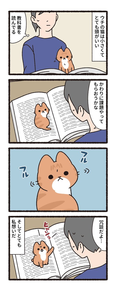 pandania0's tweet photo. 毛玉からうまれた小さな猫（2/3） https://t.co/LyAQzhNthT