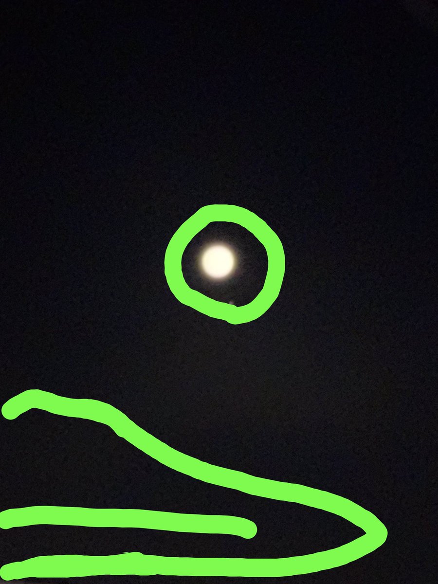 199377KAFD's tweet photo. @Shiki_kapal つきがきれいですお🌕️💚 https://t.co/fLVsDA0grg