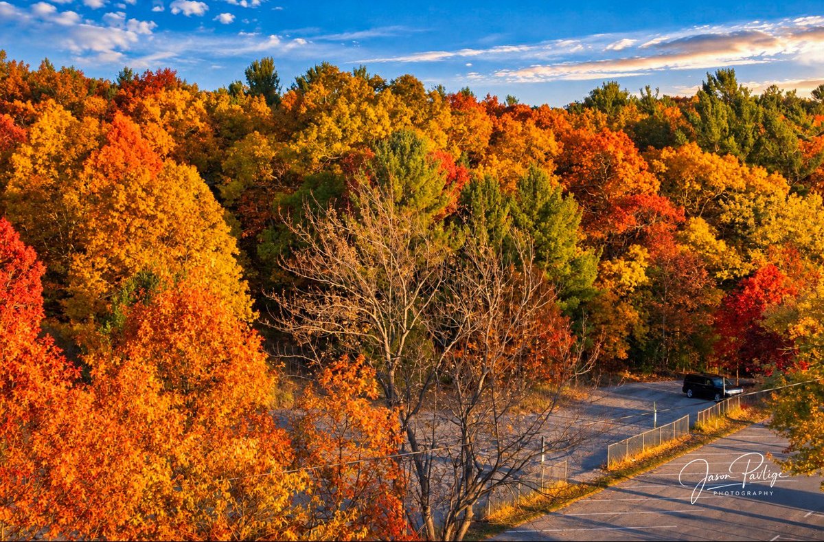 JasonPavPhotos's tweet photo. The colors at Kruse Park were absolutely popping last year! 🍂🍁 Soon, they’ll be back, painting the landscape in those beautiful shades of gold, orange, and red. I’m already looking forward to getting out there and capturing some incredible fall color photos! 📸🍁

#fallvibes https://t.co/7GRS8VkA5h